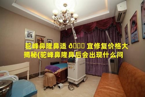 驼峰鼻隆鼻适 🐘 宜修复价格大揭秘(驼峰鼻隆鼻后会出现什么问题)